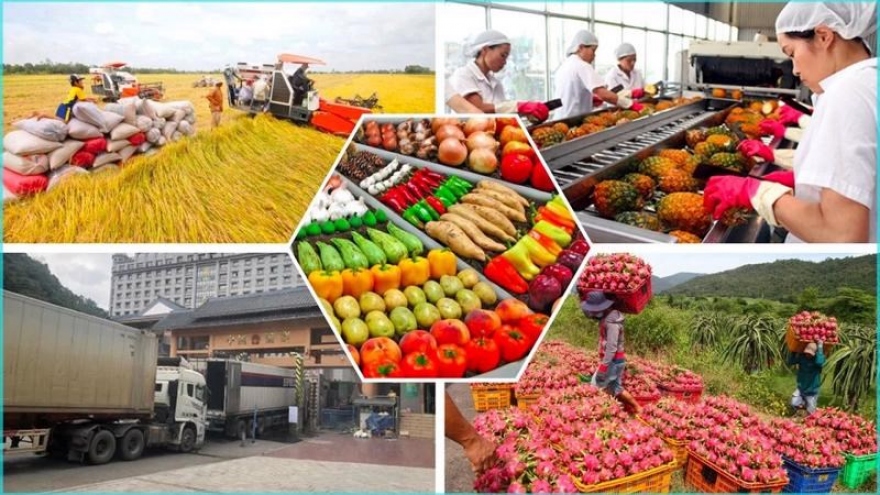 Five-month farm exports to Russia soar by 48.7%